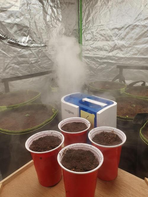 Zillions - Barney's Farm. Week 0