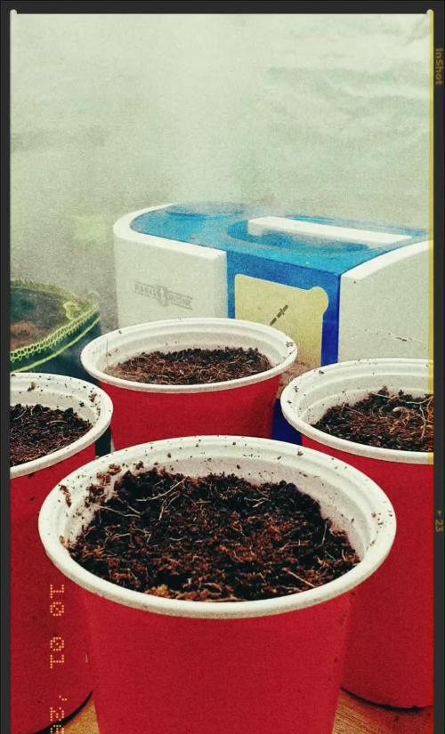 Zillions - Barney's Farm