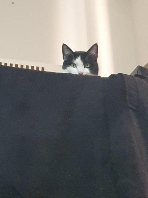 Zillions - Barney's Farm. Week 6