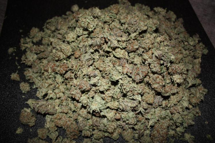 Zillions 💵 - Barney's Farm. Week 21