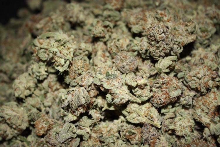 Zillions 💵 - Barney's Farm. Week 21