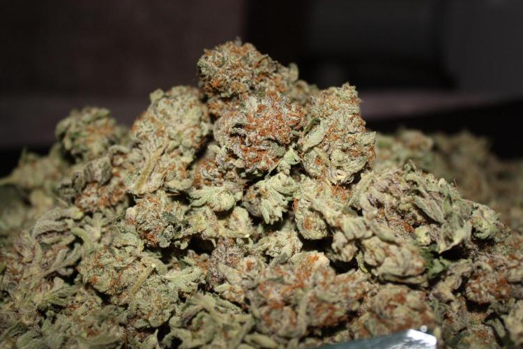 Zillions 💵 - Barney's Farm. Week 21