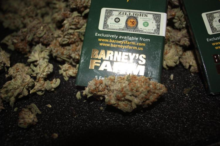 Zillions 💵 - Barney's Farm. Week 21