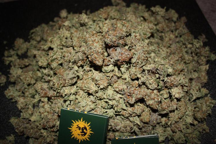Zillions 💵 - Barney's Farm. Week 21