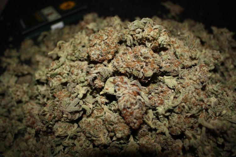 Zillions 💵 - Barney's Farm. Week 21
