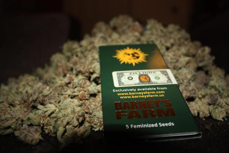 Zillions 💵 - Barney's Farm. Week 21