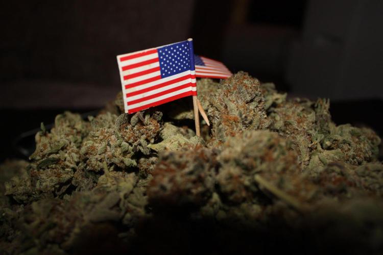 Zillions 💵 - Barney's Farm. Week 21