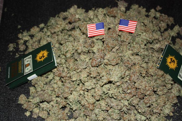 Zillions 💵 - Barney's Farm. Week 21
