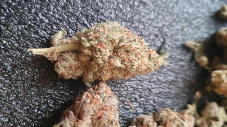 Zillions 💵 - Barney's Farm