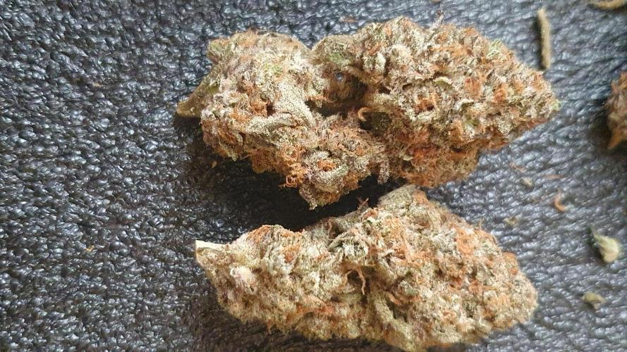 Zillions 💵 - Barney's Farm. Week 21