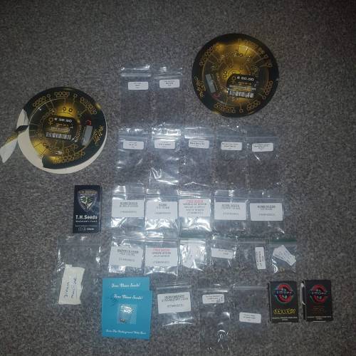 Sheffield Livers. Week 90