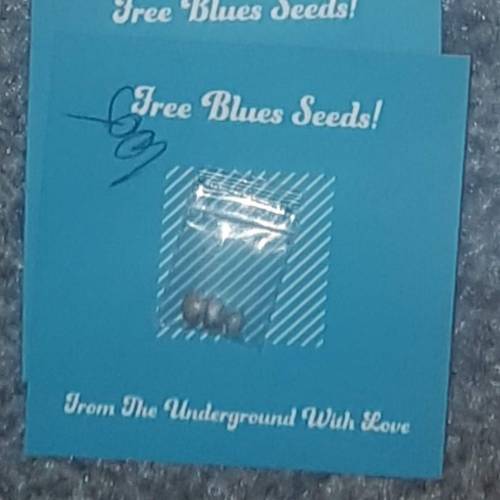 Sheffield Livers. Week 1