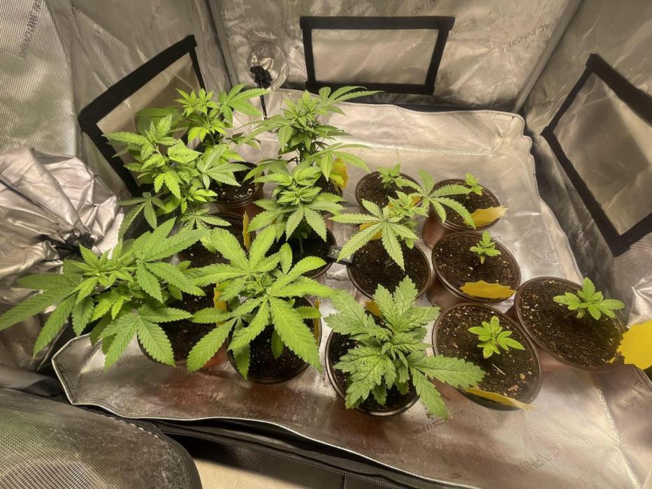 Fall Hunt 2025. Week 4