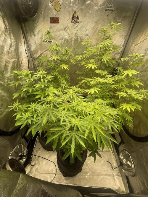 Fall Hunt 2025. Week 10 - Week 3/4 