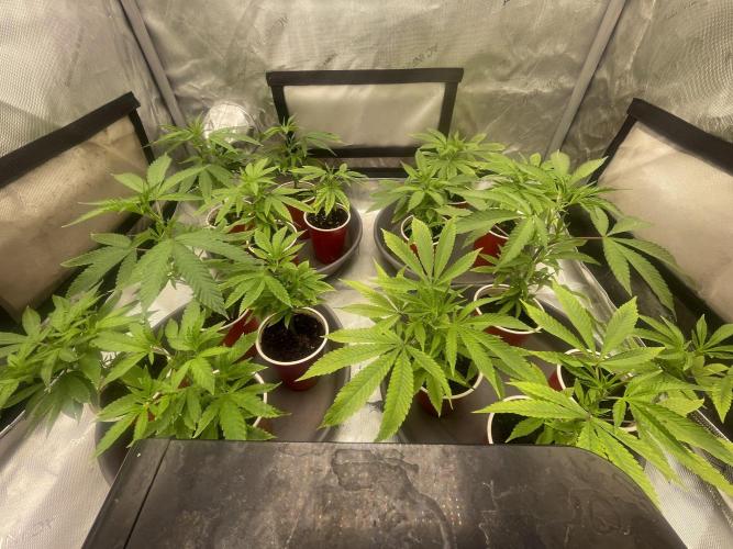 Spring 26 ( KEEPERS RUN). Week 2