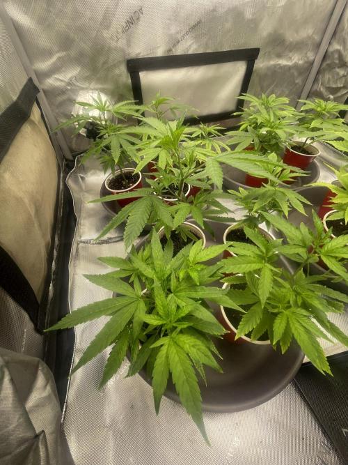 Spring 26 ( KEEPERS RUN). Week 2