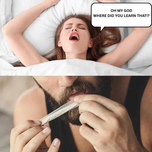 Biscotti Gelato & Papayton in Flo. Week 11