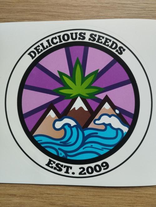 Bay Burger - Delicious Seeds. Week 0