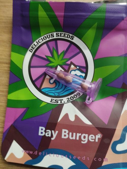 Bay Burger - Delicious Seeds. Week 0