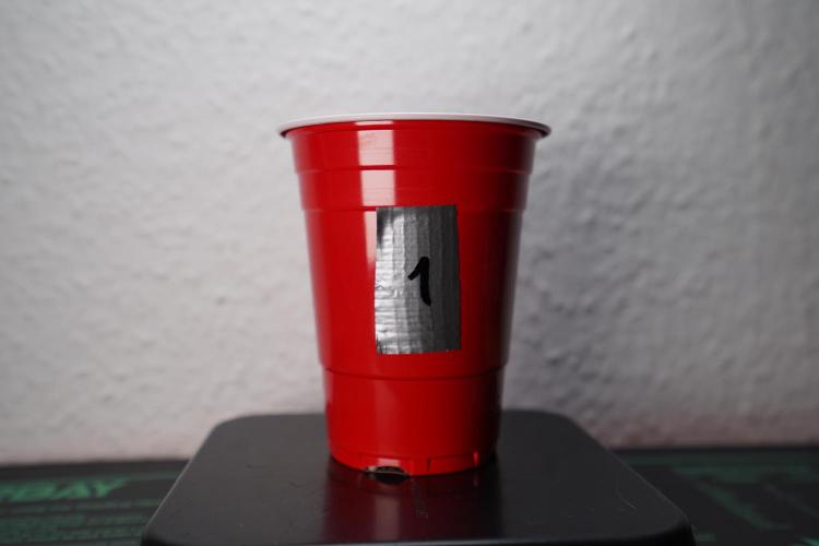 New Money - Growmio. Week 0