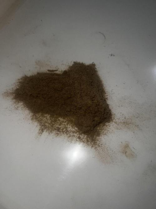 apical + Lst gea seed 4.2m 1200w. Week 16