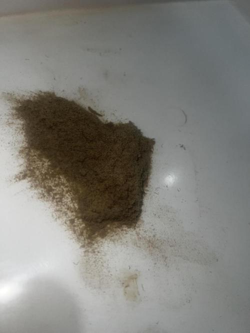 apical + Lst gea seed 4.2m 1200w. Week 16