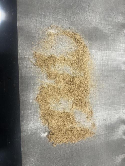 apical + Lst gea seed 4.2m 1200w. Week 16