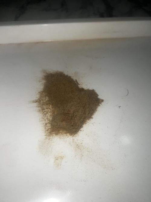 apical + Lst gea seed 4.2m 1200w. Week 16