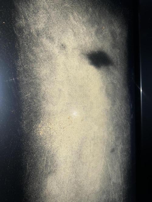 apical + Lst gea seed 4.2m 1200w. Week 16