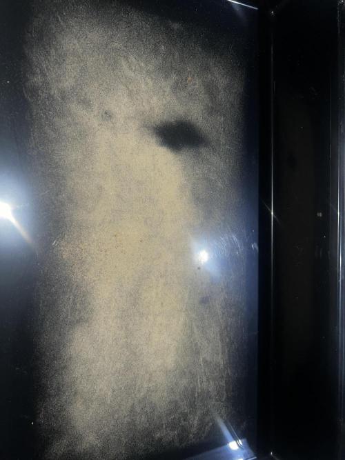 apical + Lst gea seed 4.2m 1200w. Week 16