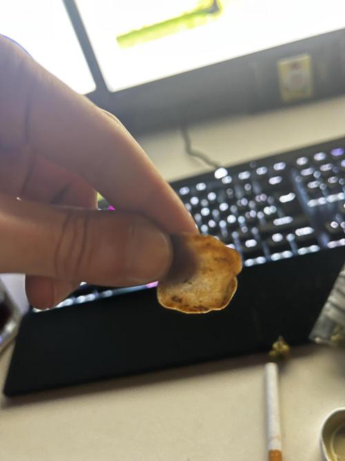 apical + Lst gea seed 4.2m 1200w. Week 16