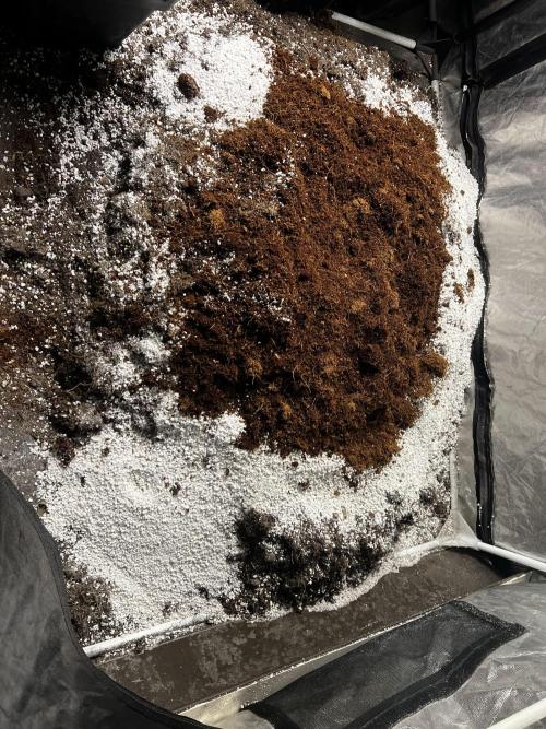 Haciendo super soil. Week 1