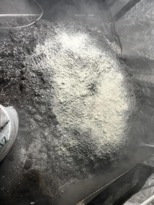 Haciendo super soil. Week 1