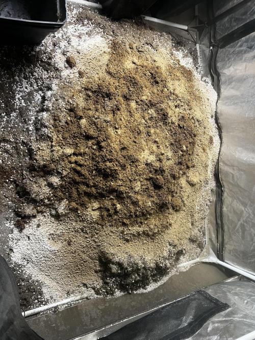 Haciendo super soil. Week 1