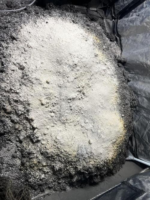 Haciendo super soil. Week 1