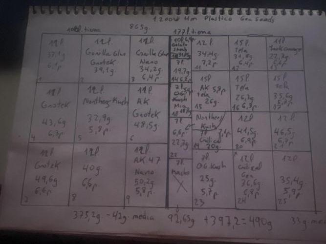 apical + Lst gea seed 4.2m 1200w. Week 16