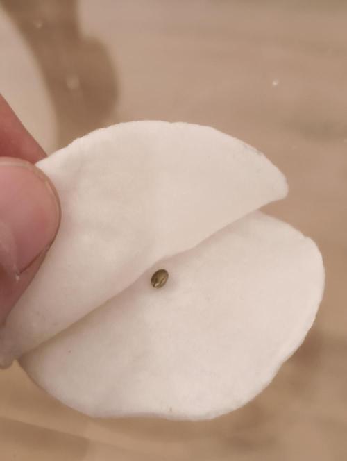 GOAT Tropicana FF. Week 0 - 9.12.25