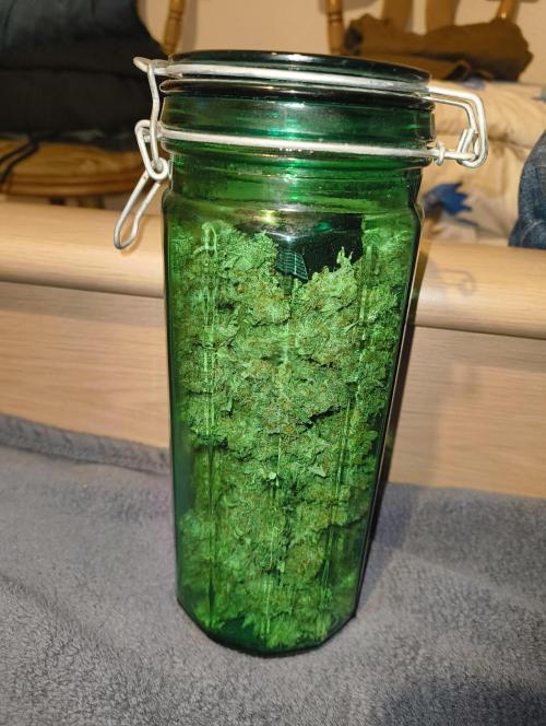 Bonus Gorilla Cookies auto. Week 13 - 18.12.25