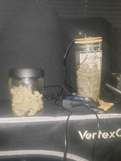 GOAT Tropicana FF. Week 20