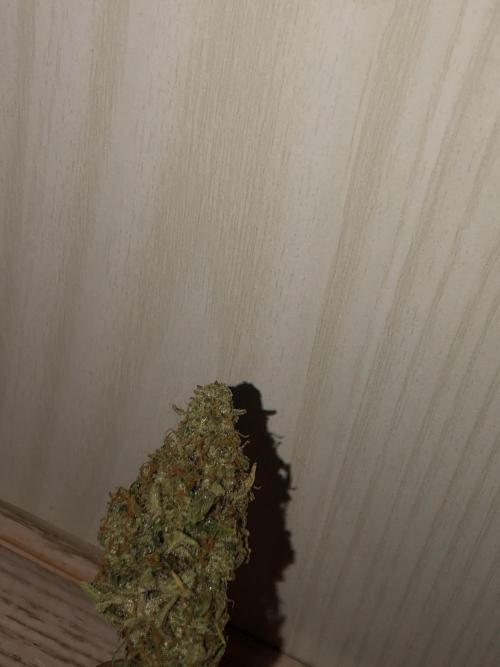 Fat Banana - 100W/200W.. Week 13