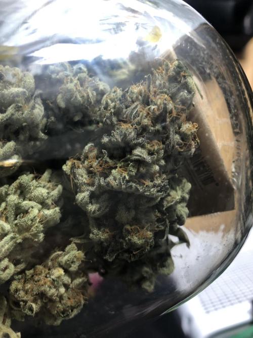 Ice cream haze 25. Week 13 - Curing