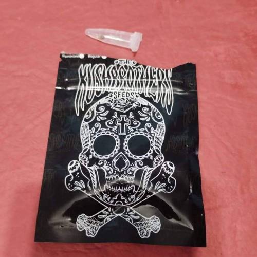 Purple Punch X Masskush The Kush Brother. Week 0