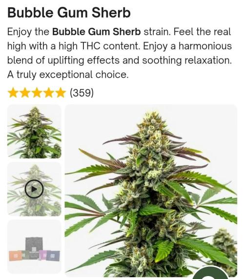 Bubblegum Sherbet - Lucas Method. Week 0