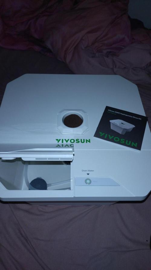 Sleepy Joe Clone Anesia Seeds. Week 0