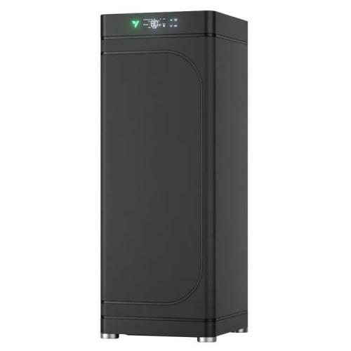 Sleepy Joe Clone Anesia Seeds. Week 0