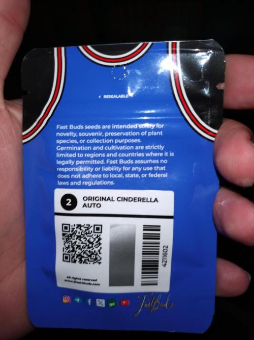 Cinderella Auto Fastbuds. Week 0