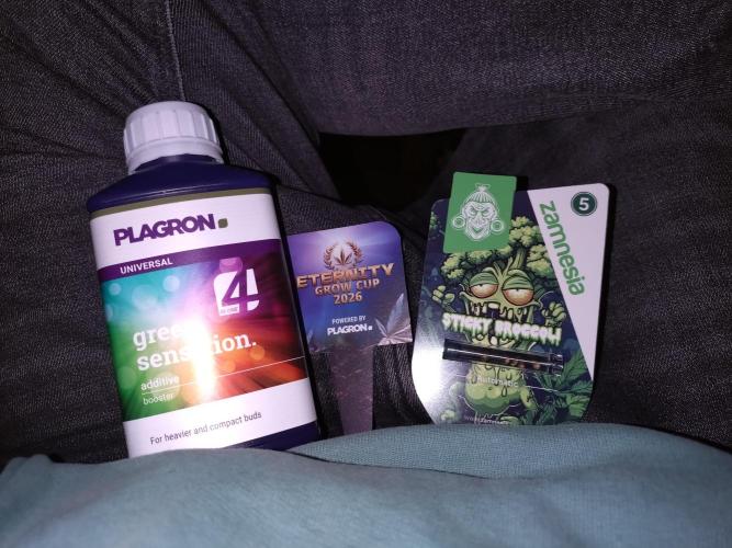 Sticky Broccoli Auto ZMA Eternity Cup'26. Week 0