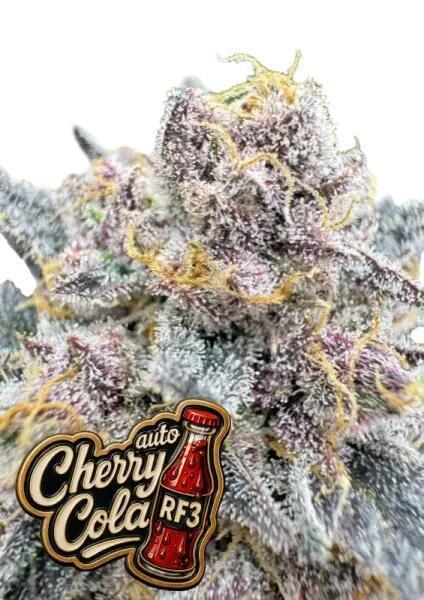 Cherry Cola RF3 P#2 F420 Eternity Cup'26. Week 0