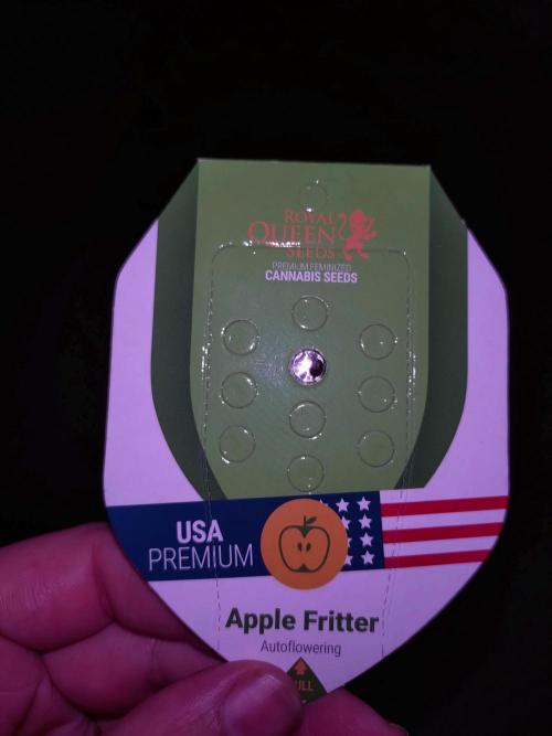 Apple Fritter Auto RQS Eternity Cup'26. Week 0