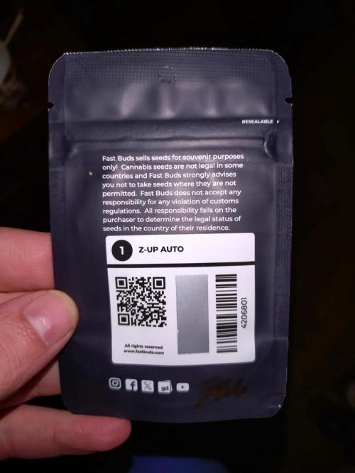 Z-Up Auto Fastbuds. Week 0